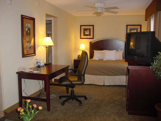 Homewood Suites By Hilton Orlando-Ucf Area Alafaya Ruang foto